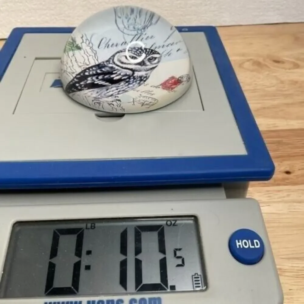 Vintage Art Glass Owl Print Living Wisdom Dome Round‎ Paperweight 1.3